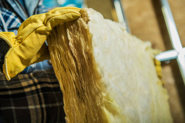 Best Commercial Insulation in Lone Tree, CO
