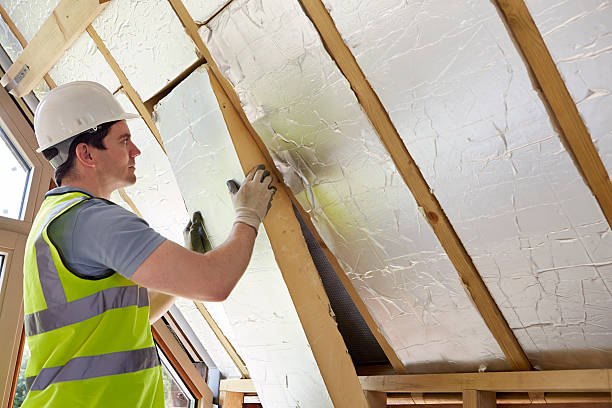Best Insulation Maintenance and Repair in Lone Tree, CO